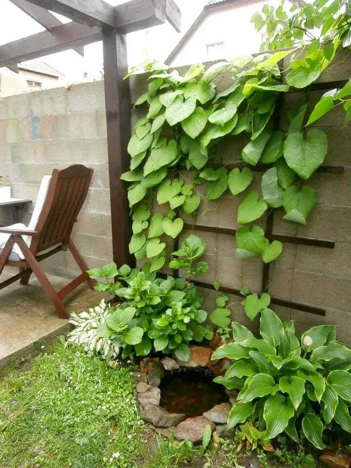 Malá tůňka pod treláží