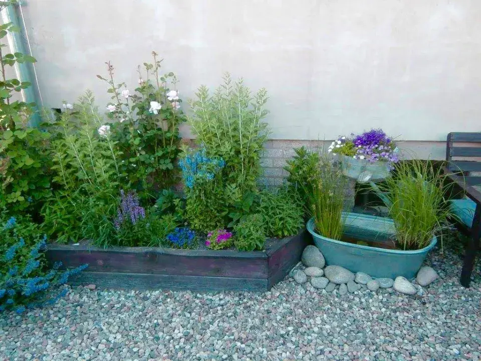 Vanička s vodou a sítinou