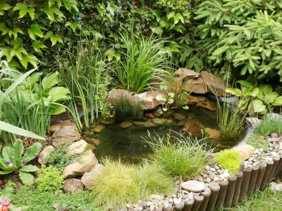 Malé zahradní jezírko