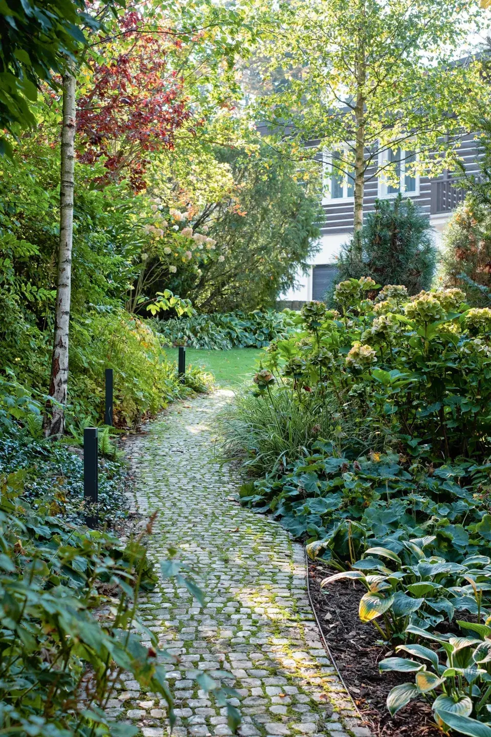 Dlážděná cestička pod stromy