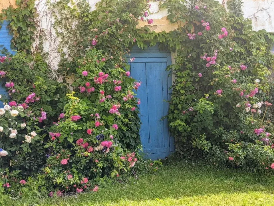 Zahrada U Konipáska modrá vrátka