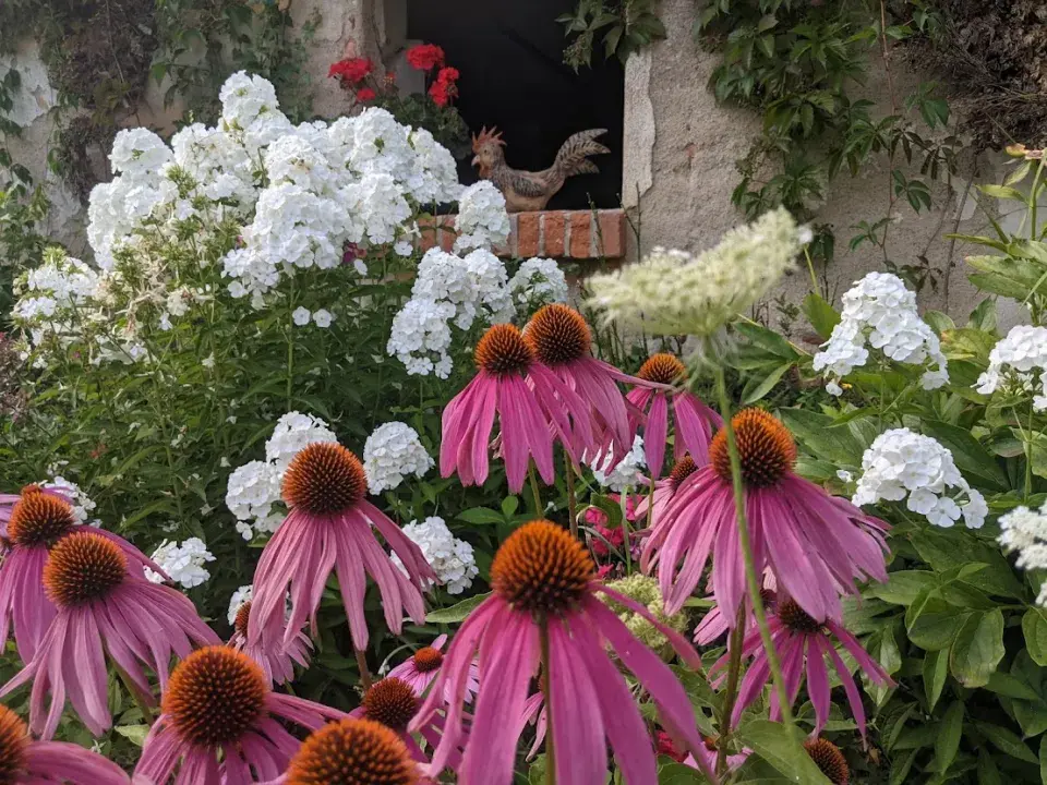 Zahrada U Konipáska třapatky