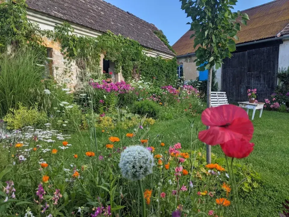 Zahrada U Konipáska kvetení