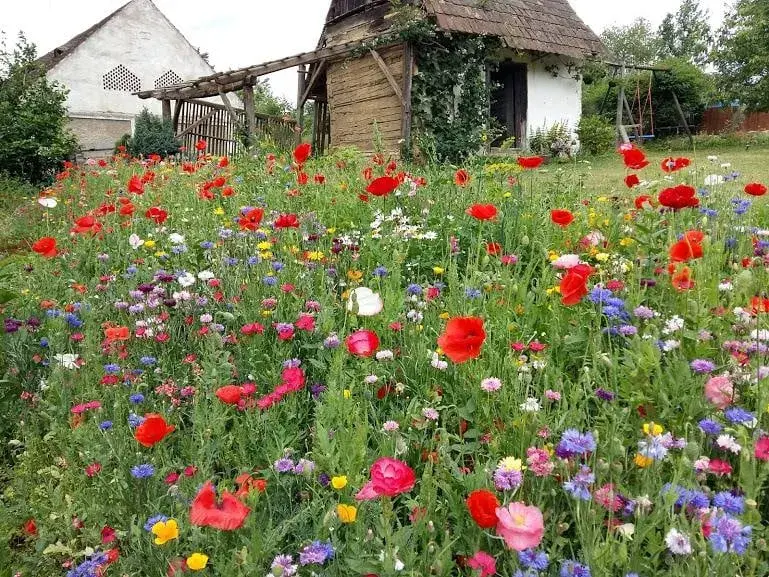 Zahrada U Konipáska strakonická louka
