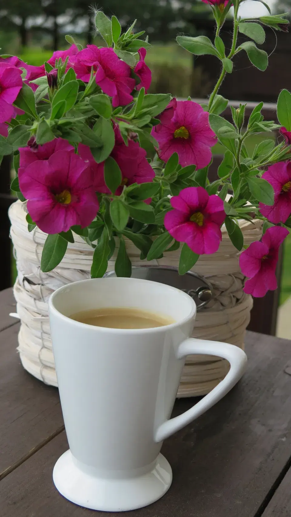 Odpolední káva v květinách