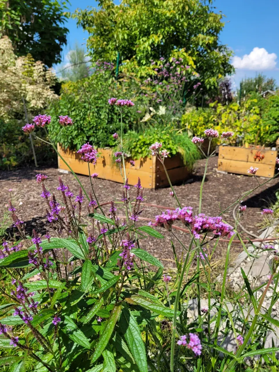 Zahrada Kokořínsko