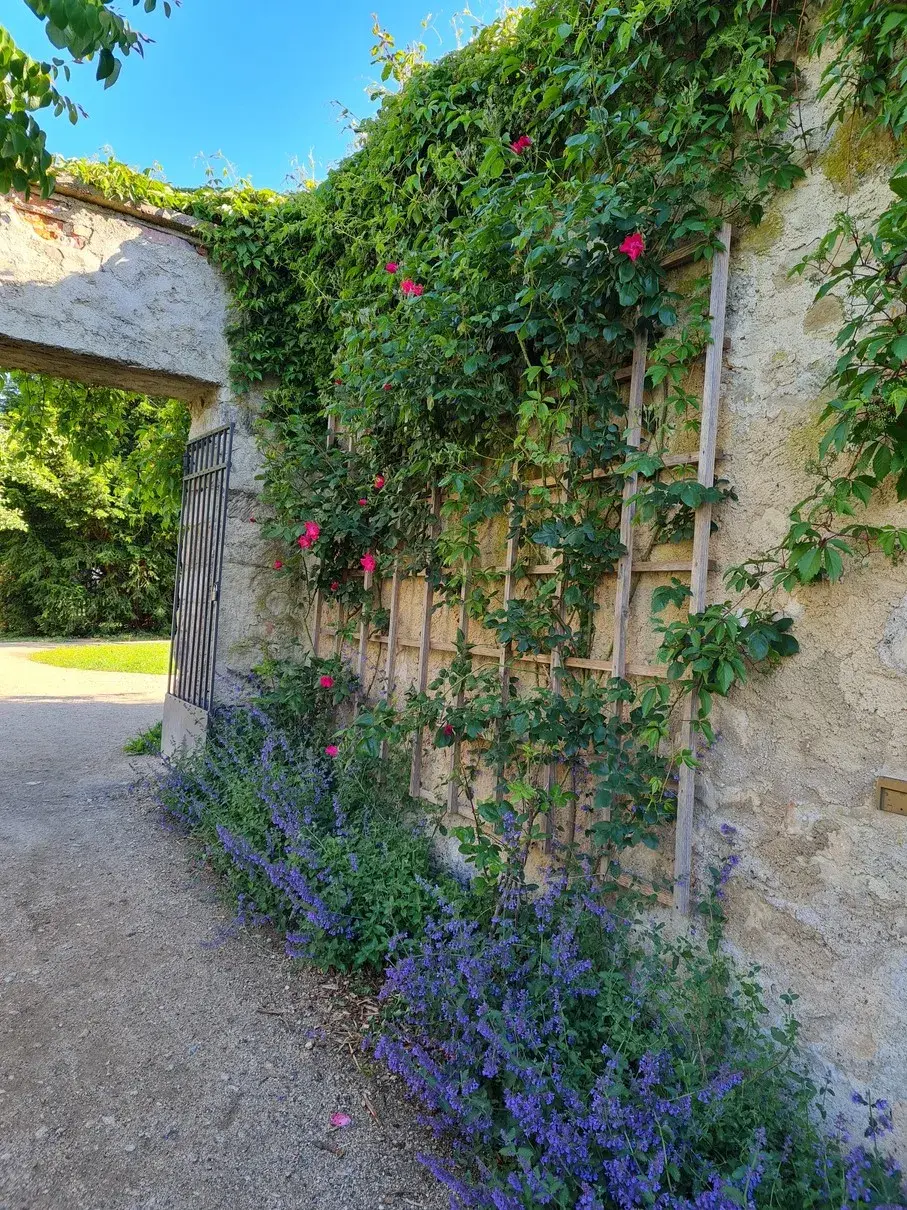 Dřevěná opora pro růže