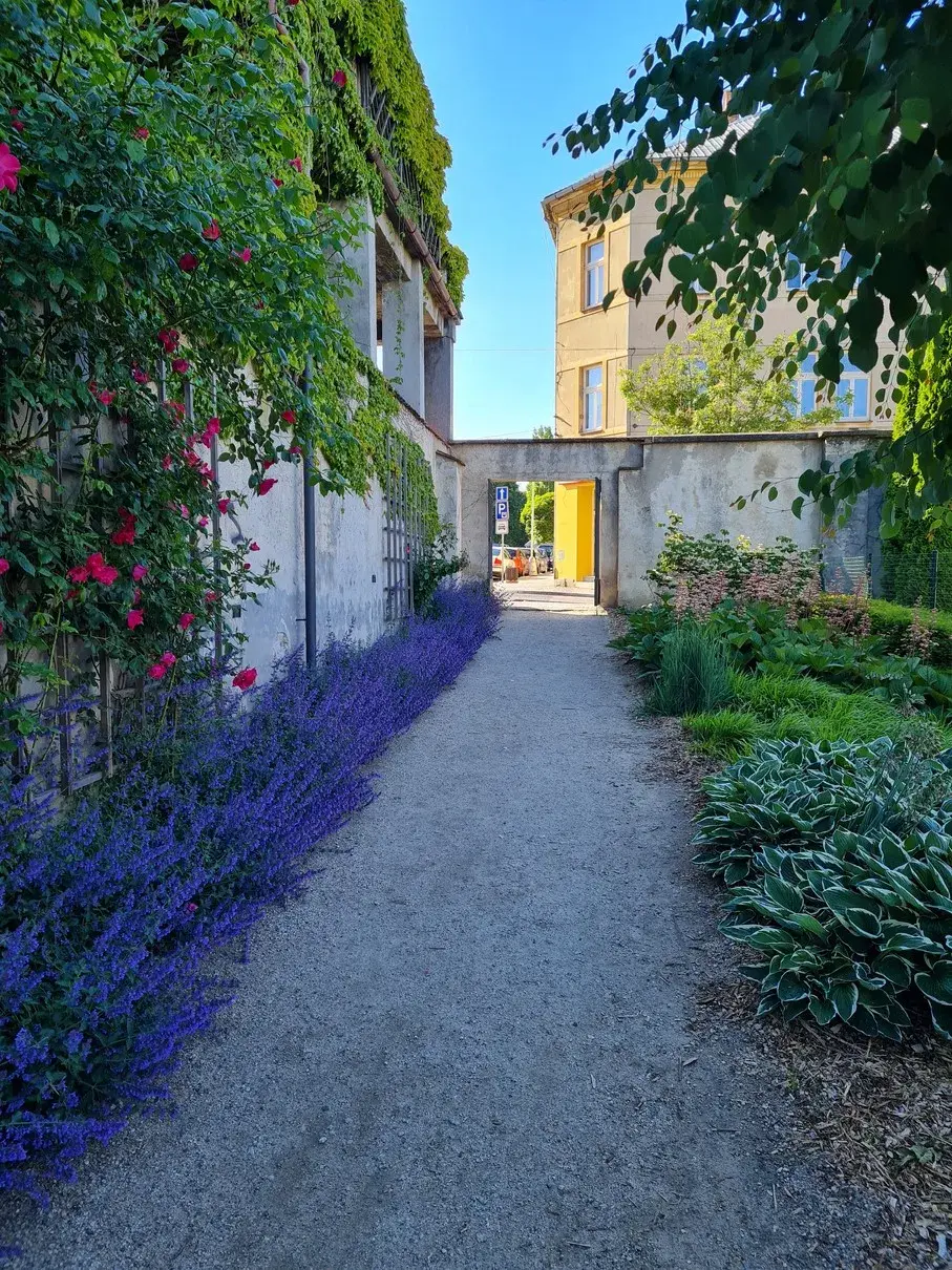 Pohled uličkou k náměstí