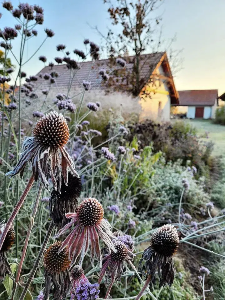 Zahrada Kokořínsko