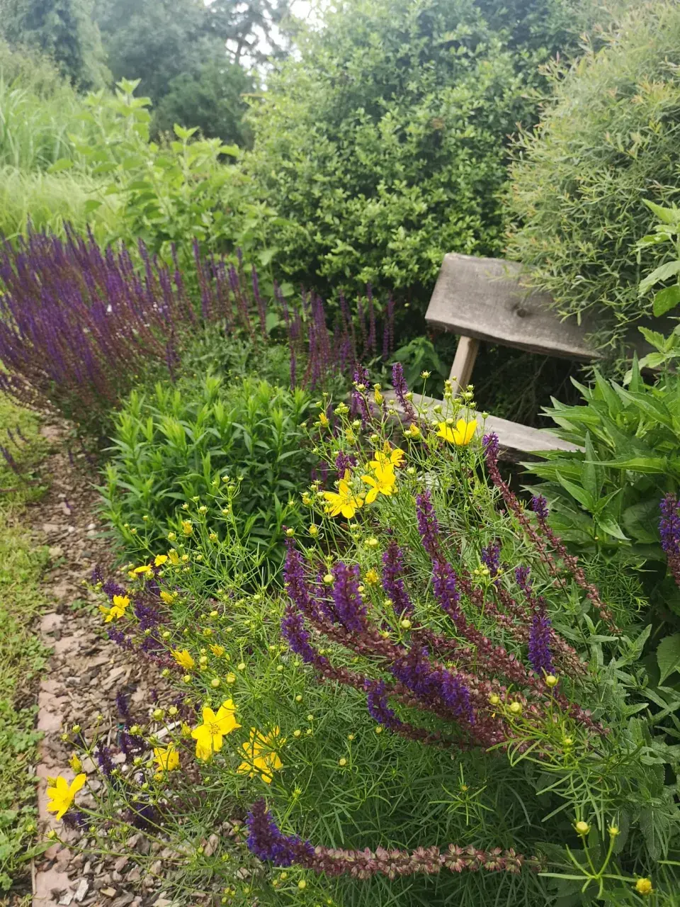 Posezení v trvalkách