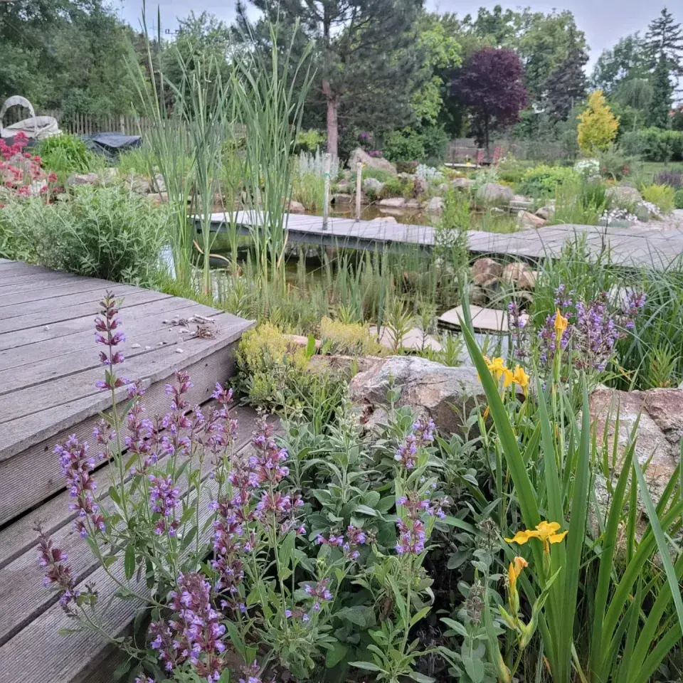 Koupací jezírko Kokořínsko