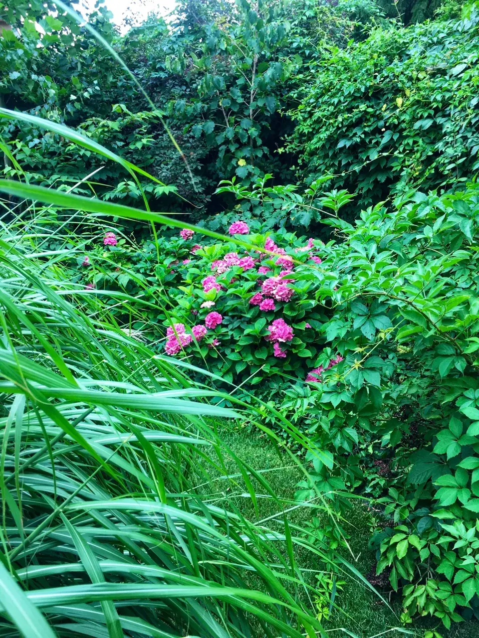 Bohatá okrasná zeleň