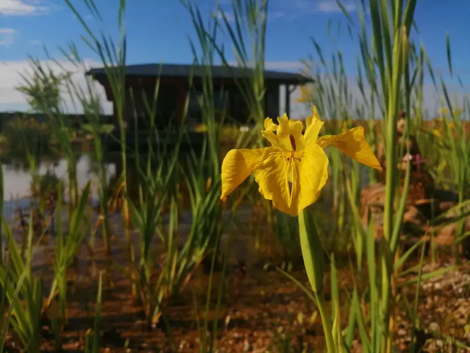 Koupací jezírko Chřásťany