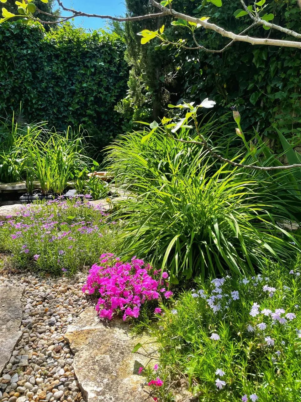 Okrasná zahrada s jezírkem