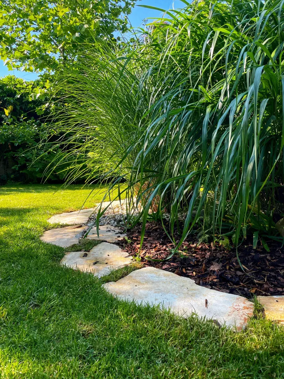 Záhonek s okrasnými travinami