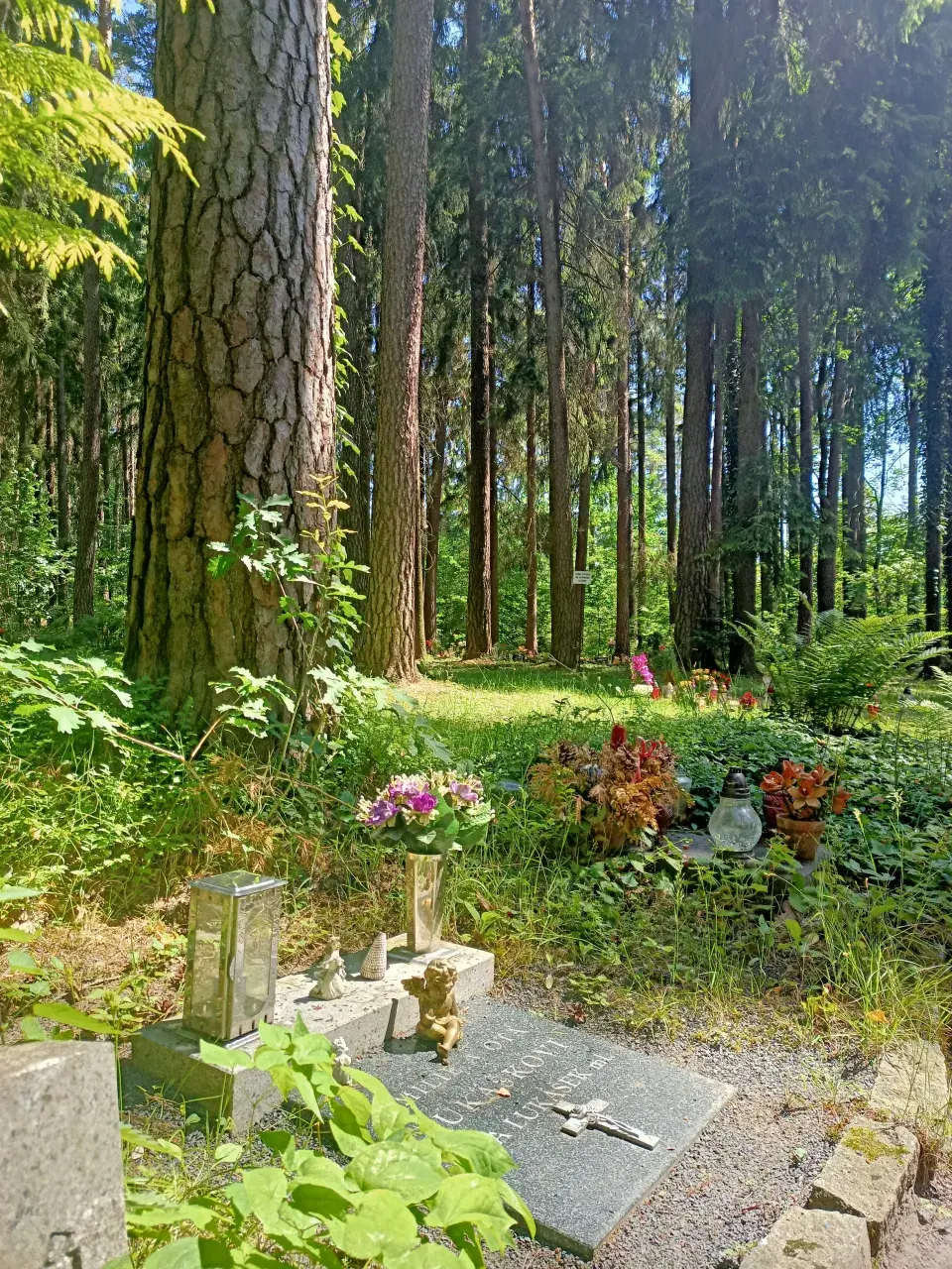 Lesní hřbitov Nový Bor