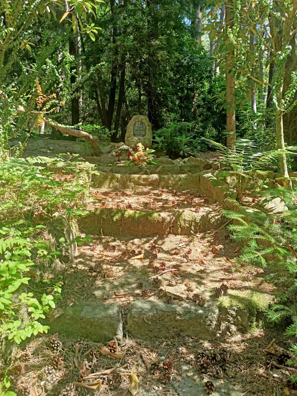 Lesní hřbitov Nový Bor