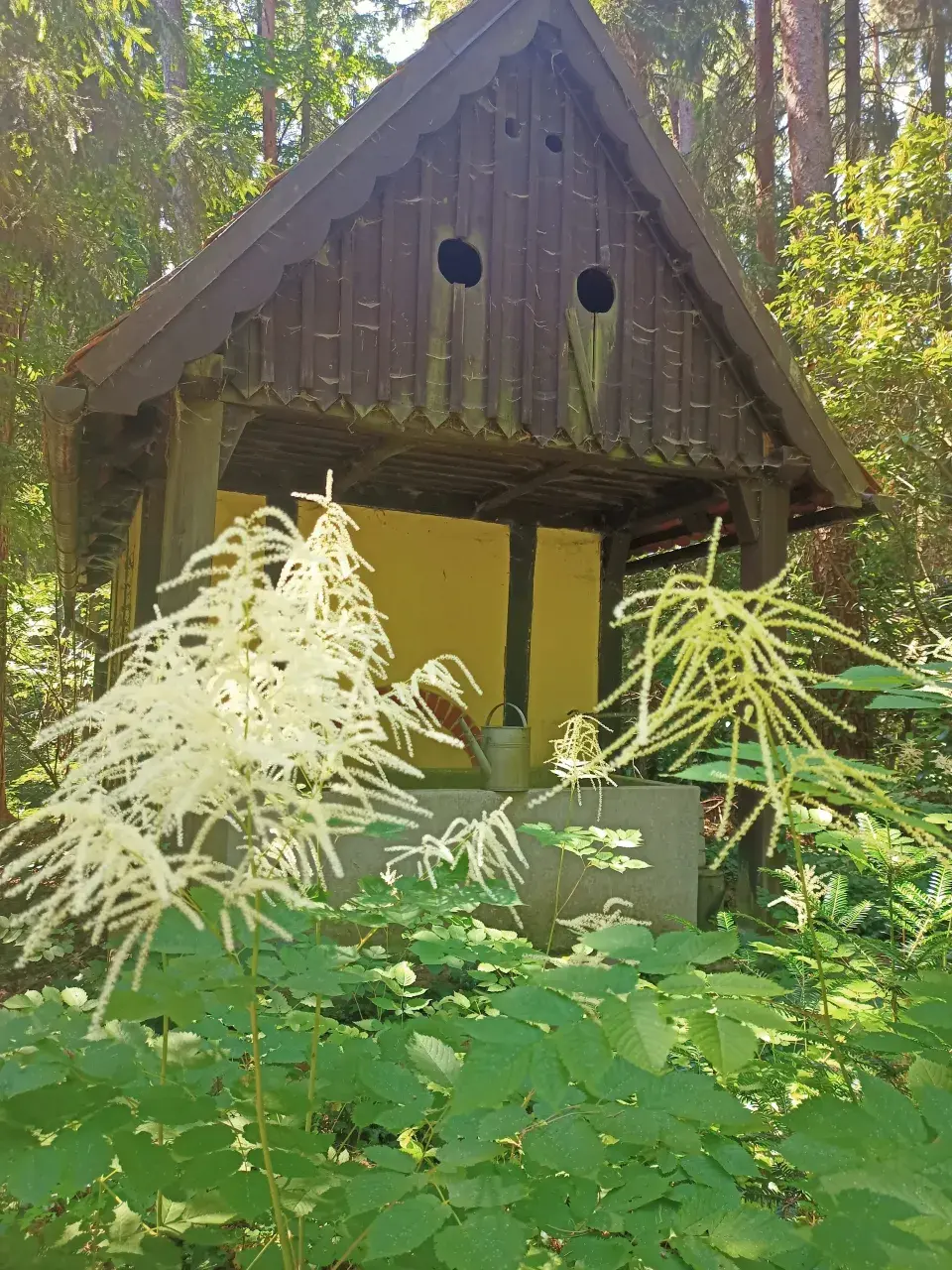 Lesní hřbitov Nový Bor