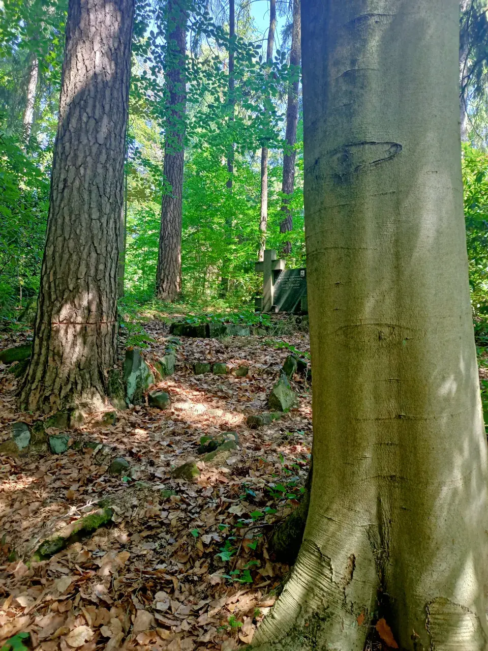 Lesní hřbitov Nový Bor