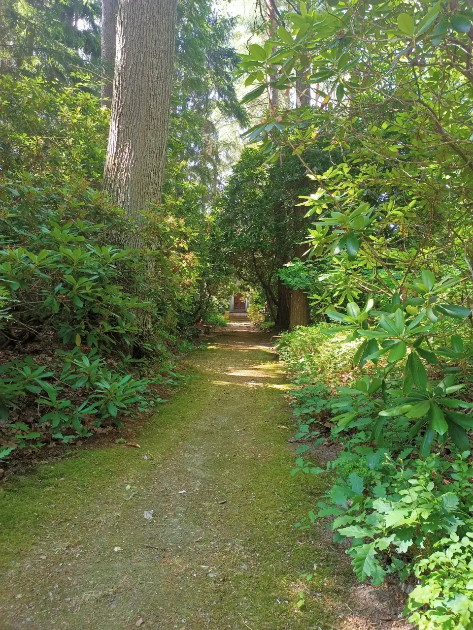 Lesní hřbitov Nový Bor