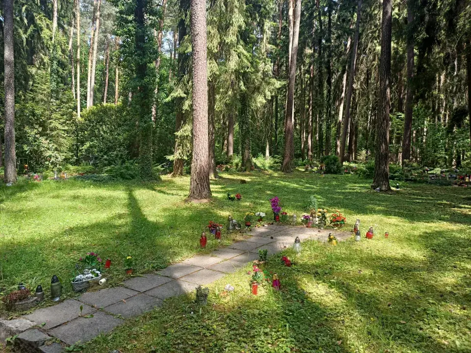 Lesní hřbitov Nový Bor