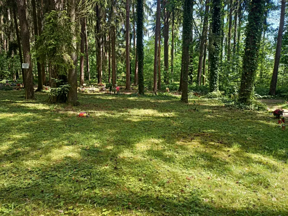 Lesní hřbitov Nový Bor