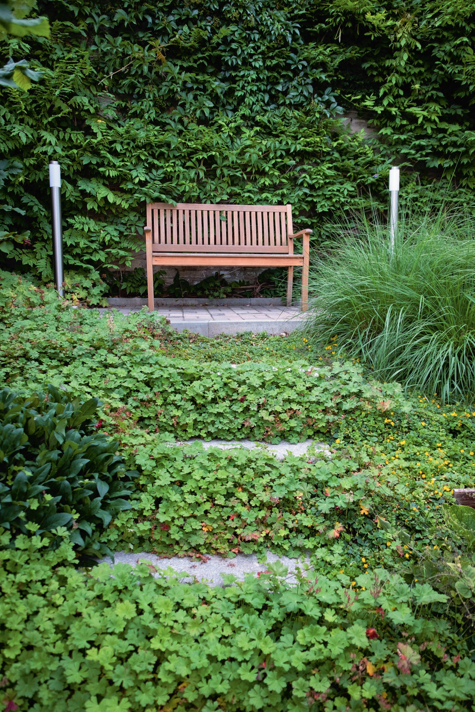 Živý plot, lavička a půdopokryvné rostliny