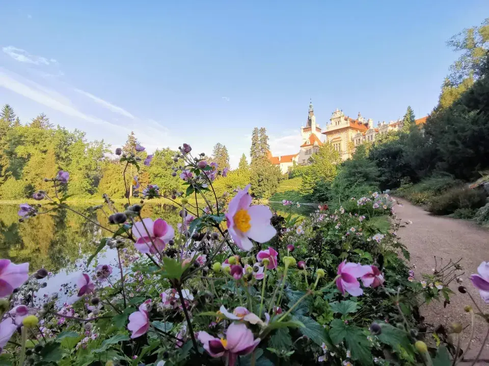 Zahrada v průhonickém parku