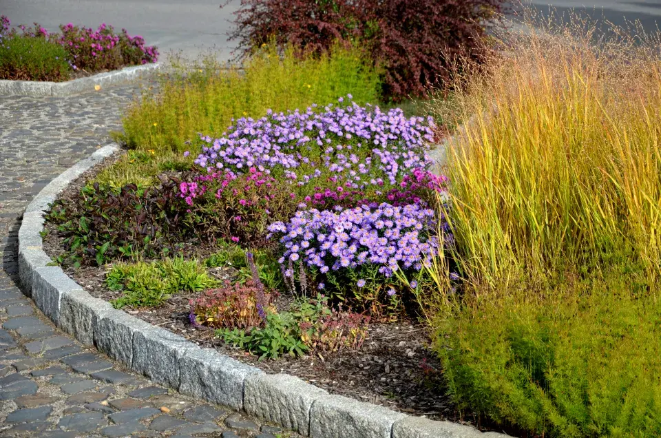 Hvězdnice a traviny