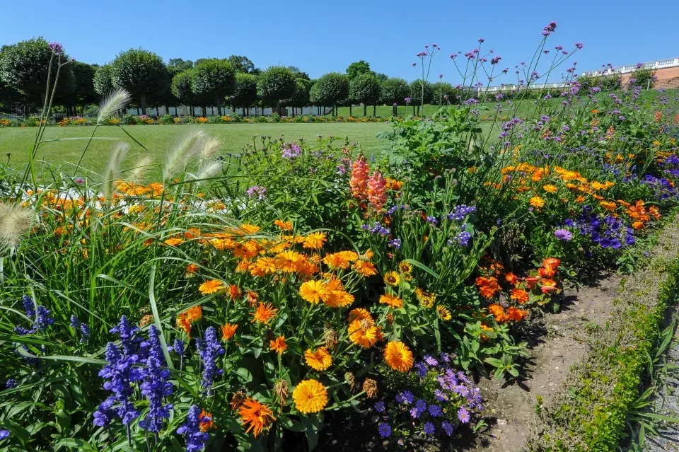 Letničkový záhon s travinami