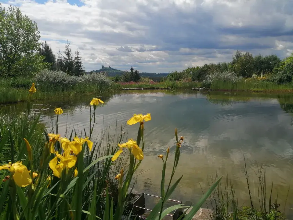 Koupací jezírko Štěpánovice