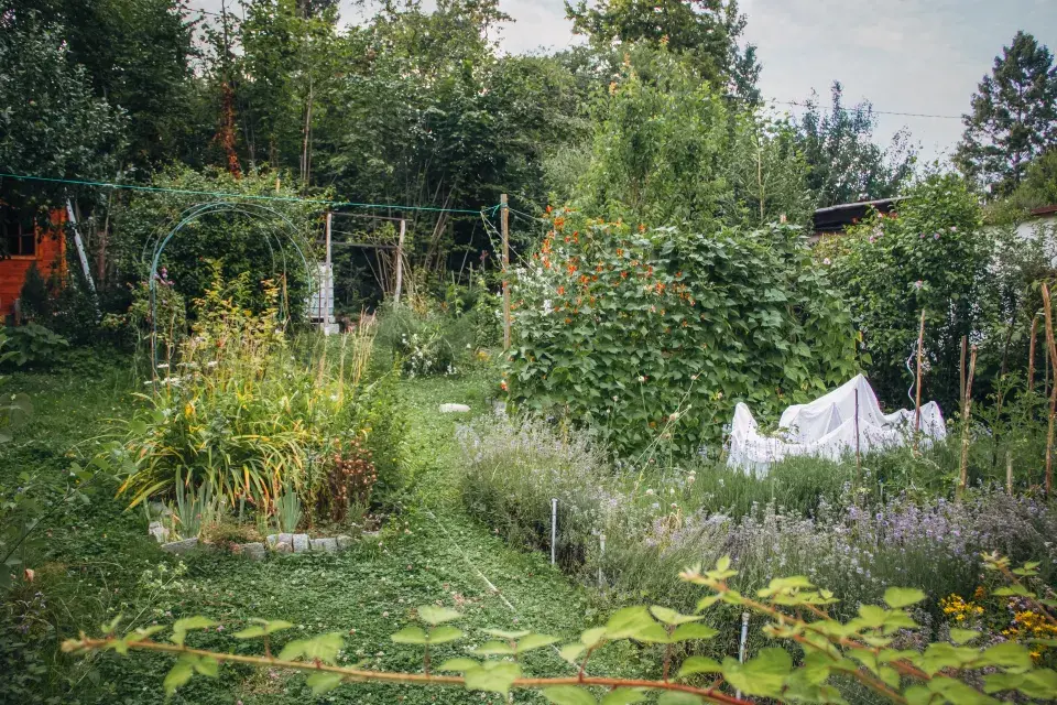 Zahrada paní Mariky