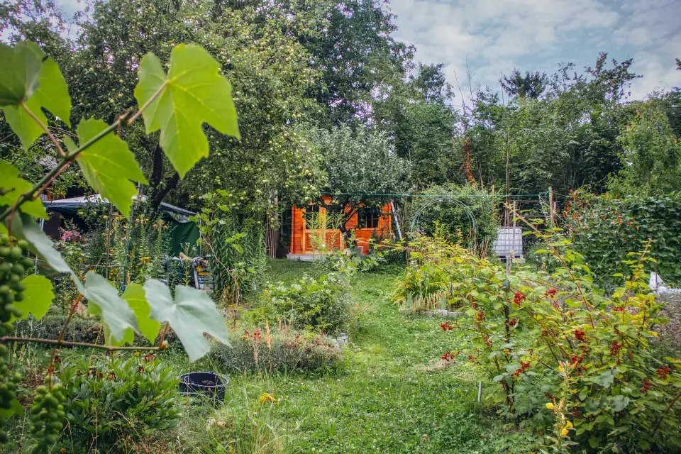 Zahrada paní Mariky