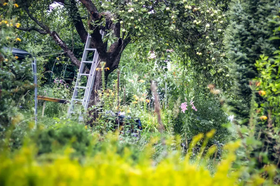 Zahrada paní Mariky