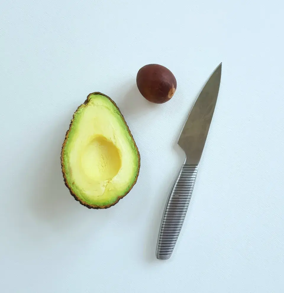 Avokádo z pecky