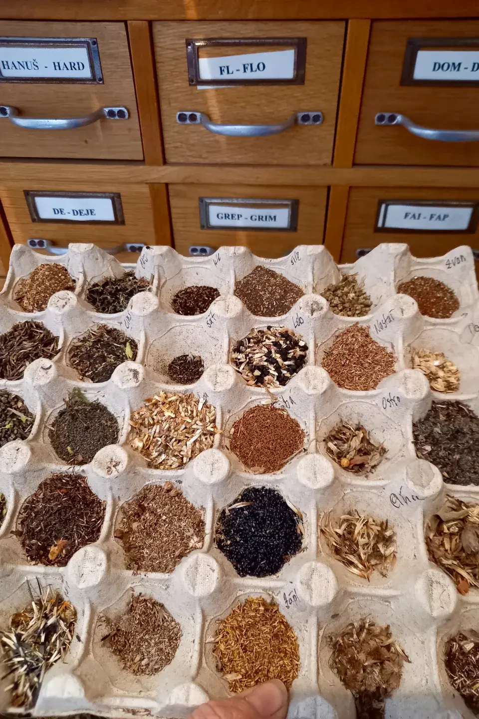 Semínka v platu na vajíčka