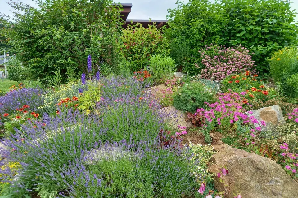 Velká skalka u pergoly