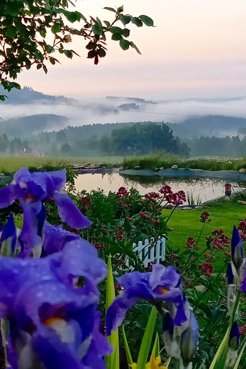 Jezírko v dolní části zahrady