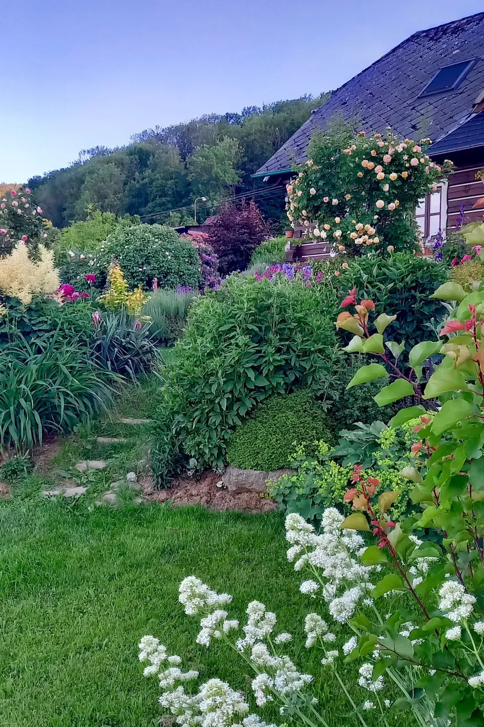 Pohled ze zahrady k domu