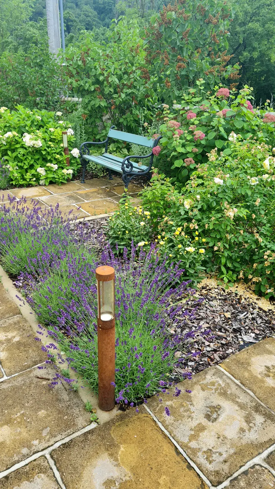 Lavička pod šeříky