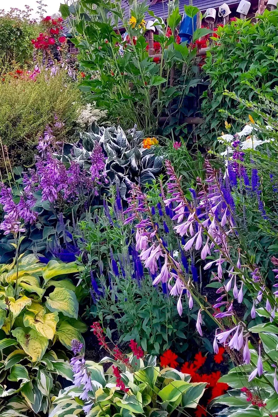 Kvetoucí trvalkový záhon