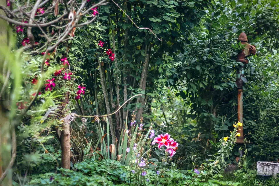 Zahrada paní Mariky