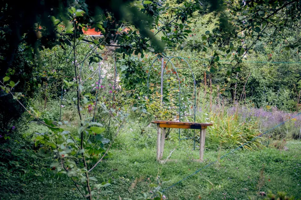 Zahrada paní Mariky