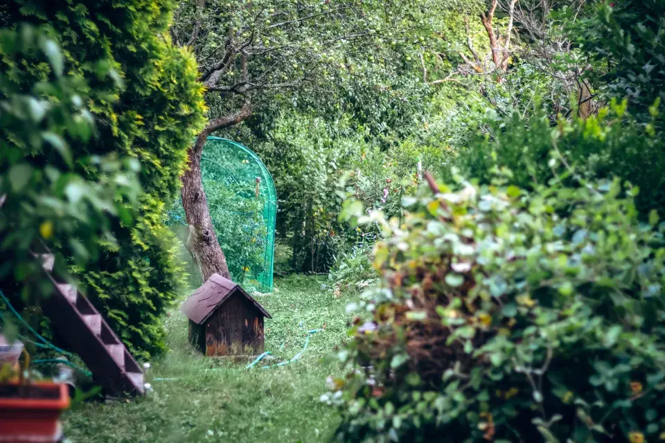 Zahrada paní Mariky