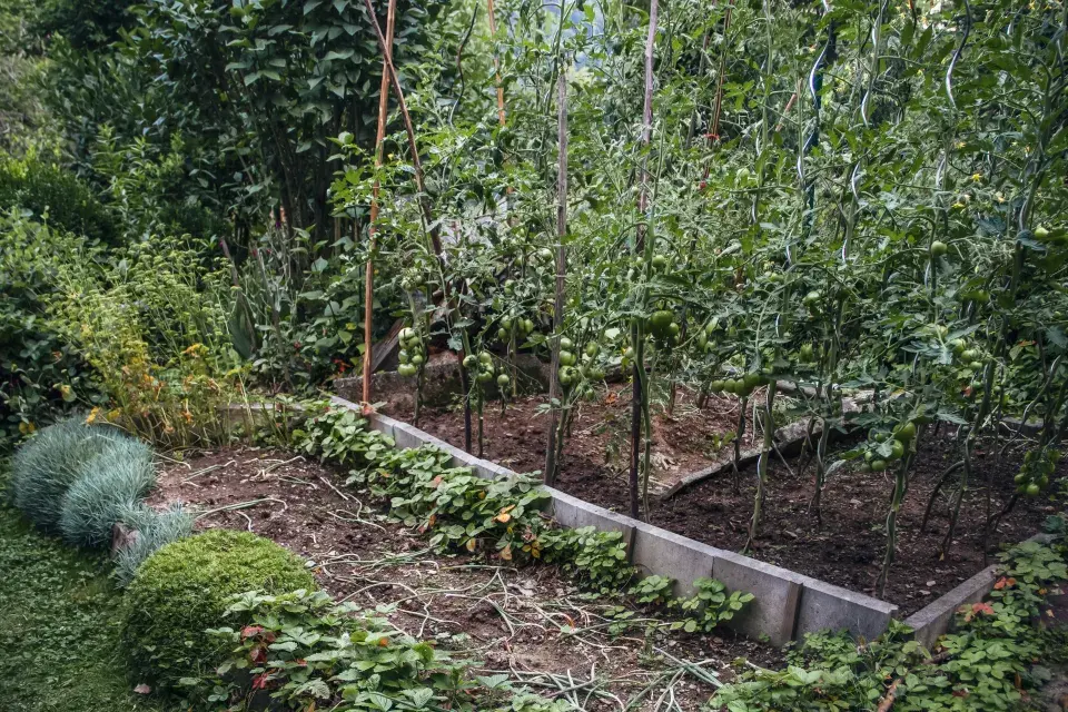 Zahrada paní Mariky