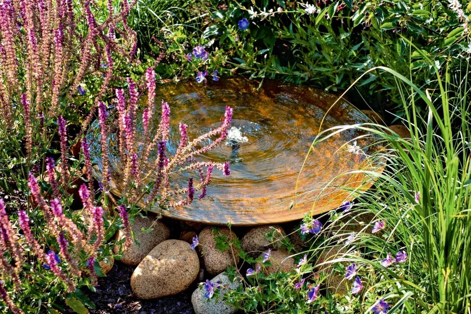 Malá mělká mísa s vodou