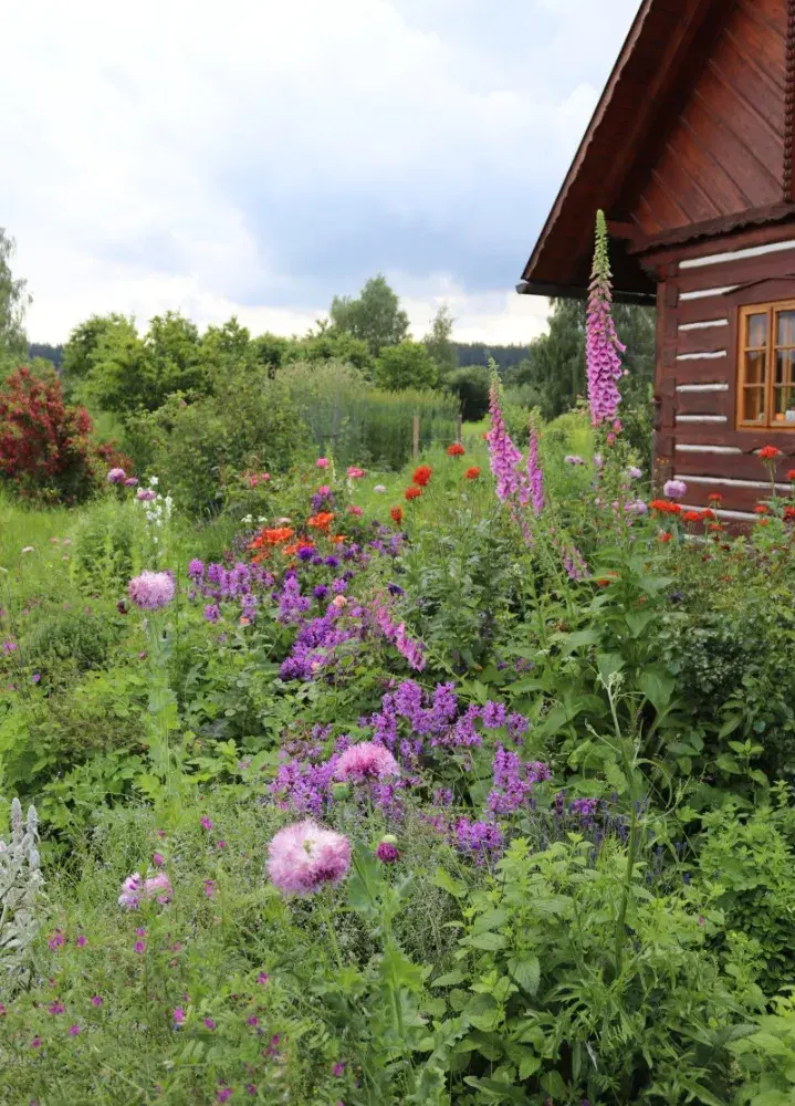 Okrasný záhon s náprstníkem