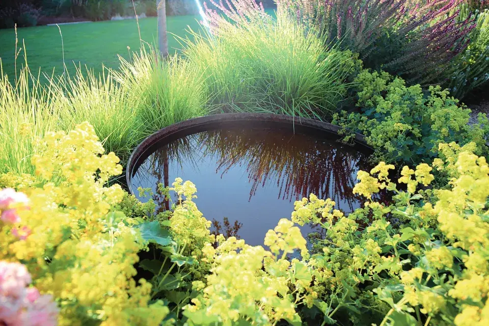 Mělká místa s vodou