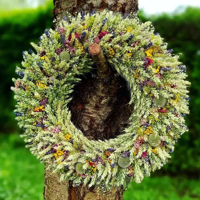 Věnec ze zelené pšenice