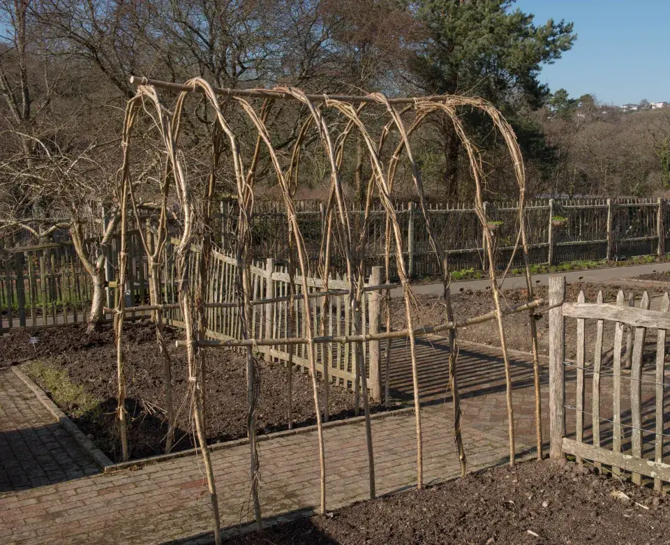 Lískové konstrukce